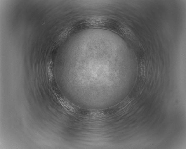 X0000052561346200507081625