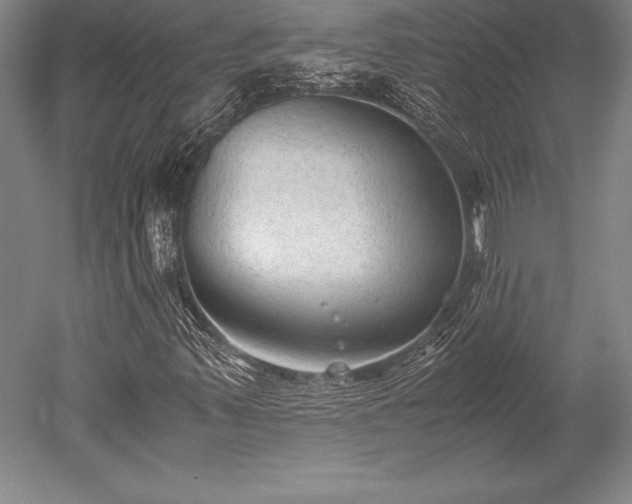 X0000052561347200507081625