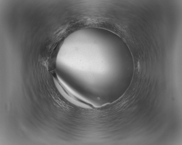 X0000052561348200507081625