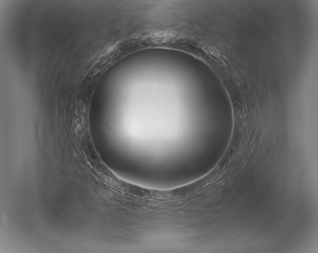 X0000052561349200507081625