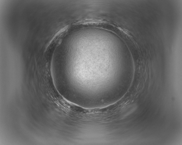 X0000052561351200507081625