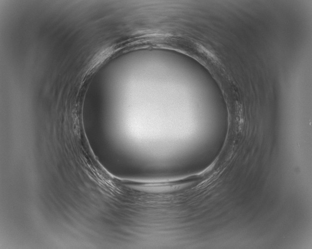 X0000052561354200507081625