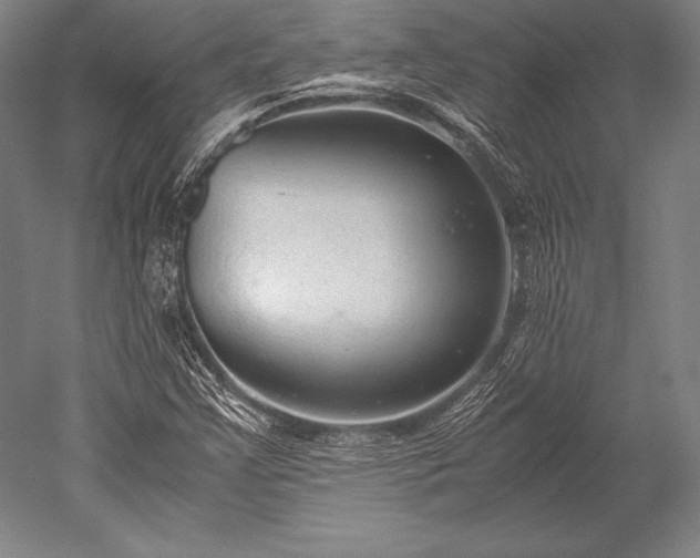 X0000052561355200507081625