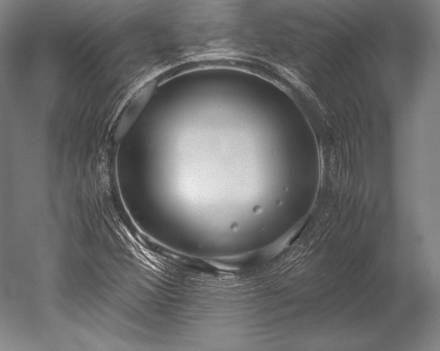 X0000052561356200507081625