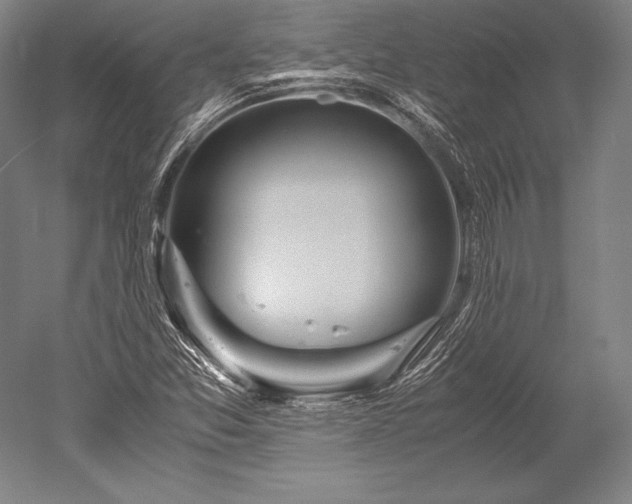 X0000052561357200507081625