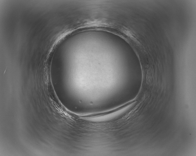 X0000052561358200507081625