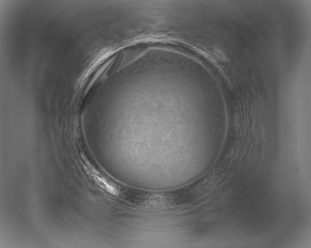 X0000052561359200507081625
