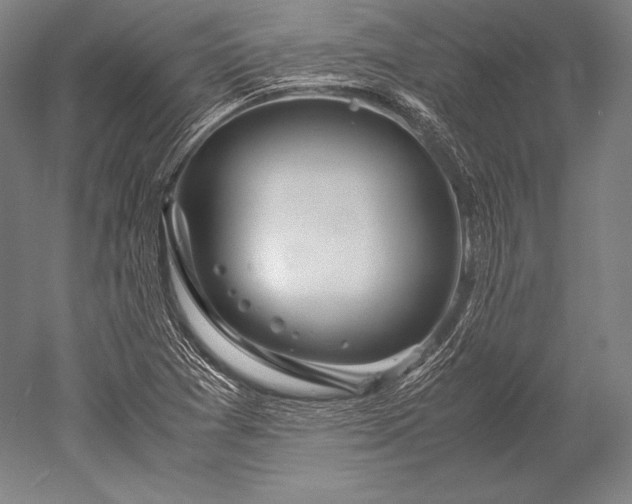 X0000052561361200507081625
