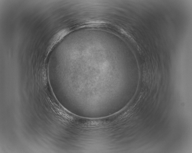 X0000052561362200507081625