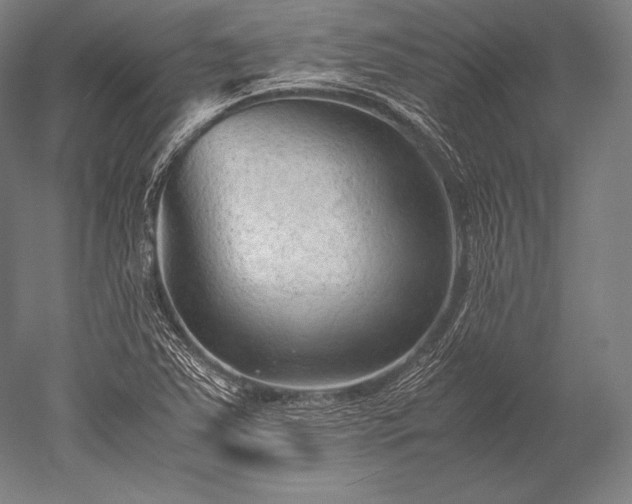 X0000052561363200507081624