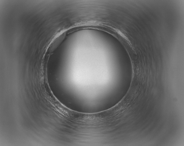 X0000052561364200507081624