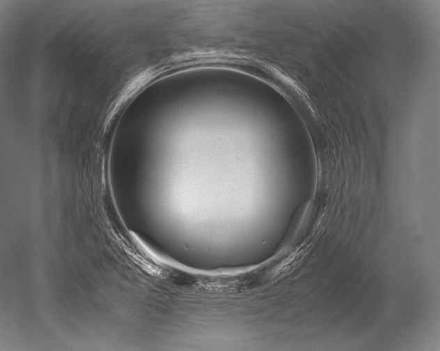 X0000052561365200507081624
