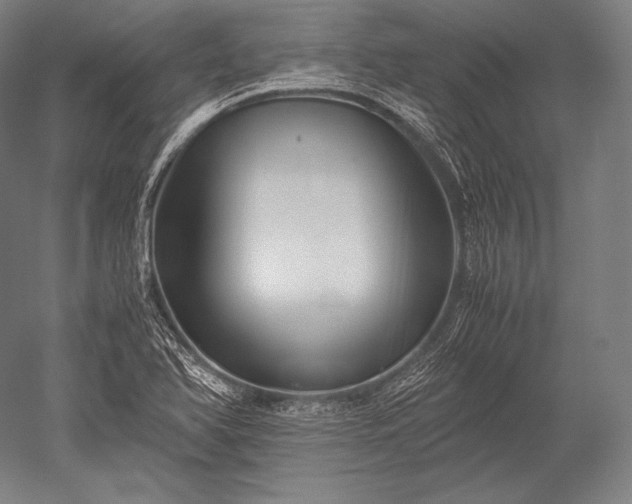 X0000052561366200507081624