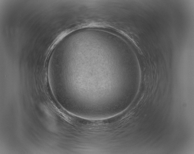 X0000052561367200507081624