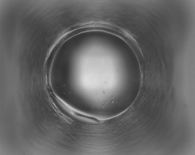 X0000052561368200507081624