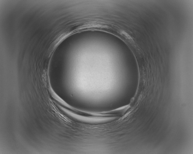 X0000052561369200507081624
