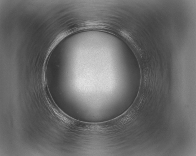 X0000052561370200507081624