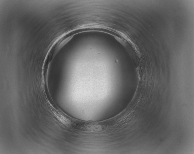 X0000052561372200507081624