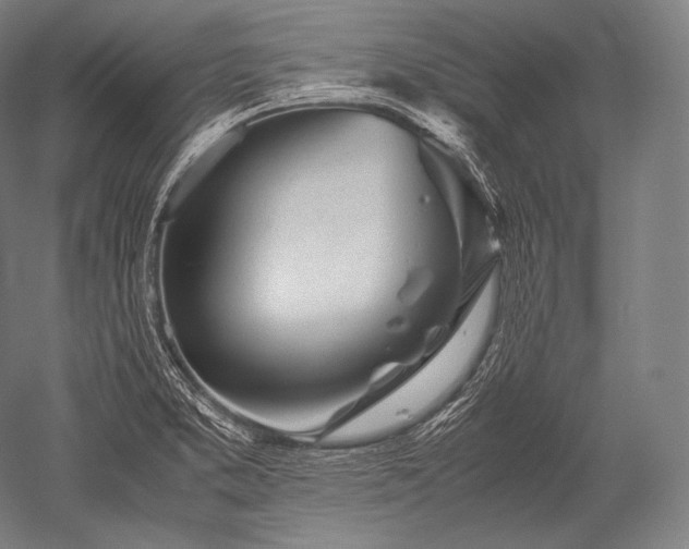 X0000052561373200507081624