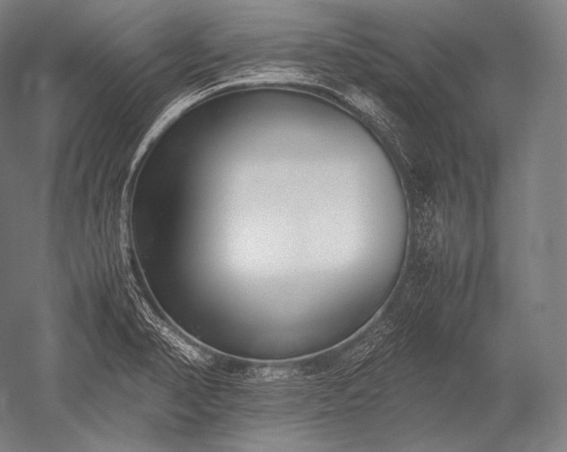 X0000052561374200507081624