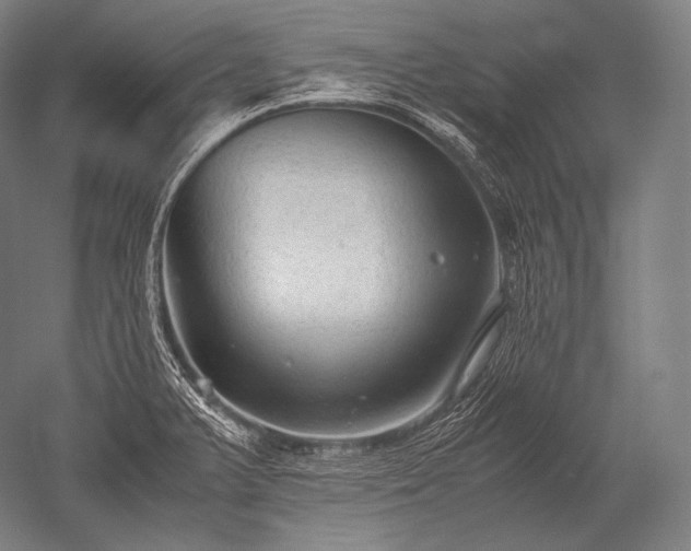 X0000052561375200507081624
