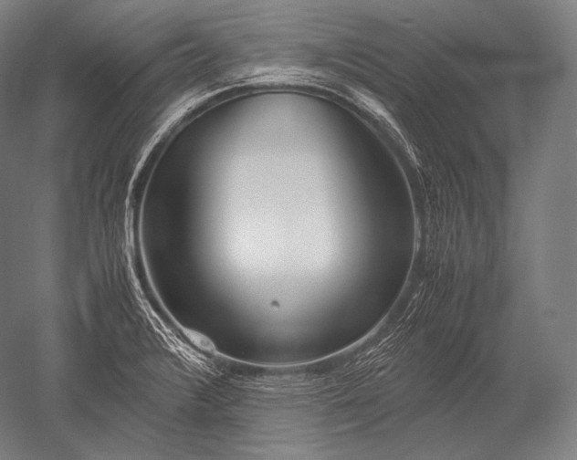 X0000052561376200507081624