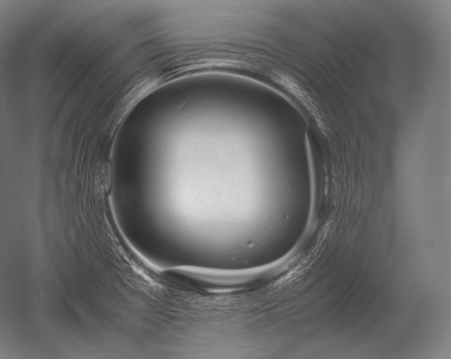 X0000052561377200507081624