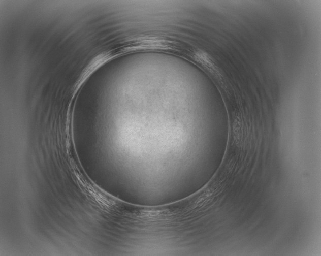 X0000052561378200507081624