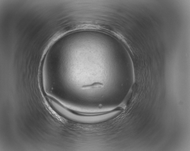 X0000052561379200507081624