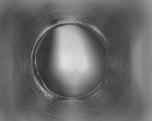 X0000052561380200507081624