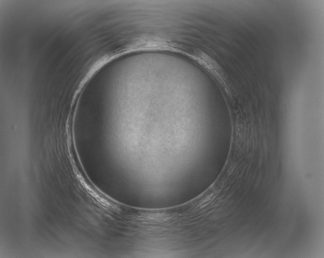 X0000052561382200507081624