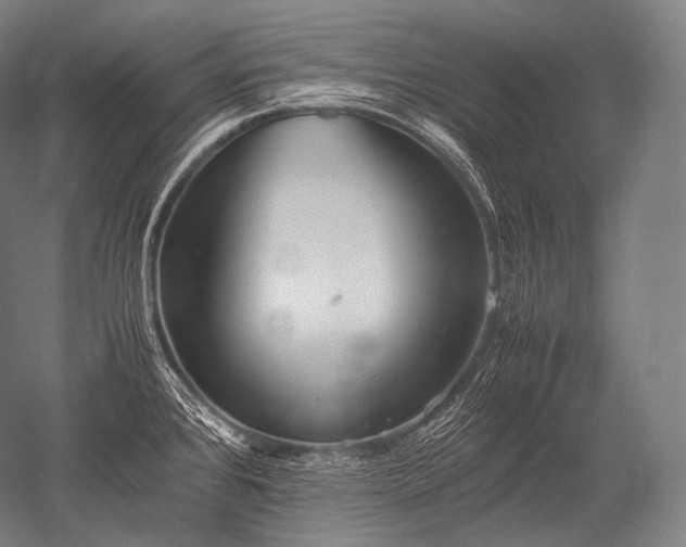 X0000052561384200507081624