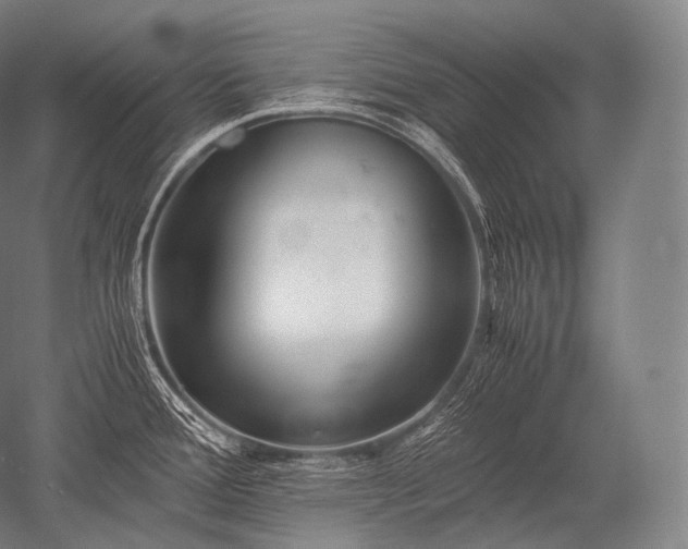 X0000052561388200507081624