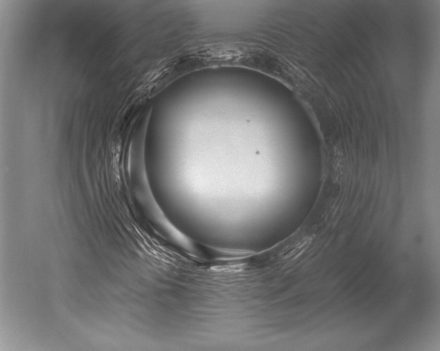 X0000052561394200507081623