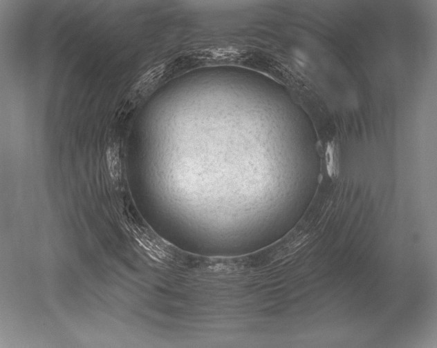 X0000052561395200507081623