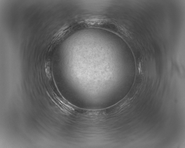 X0000052561396200507081623