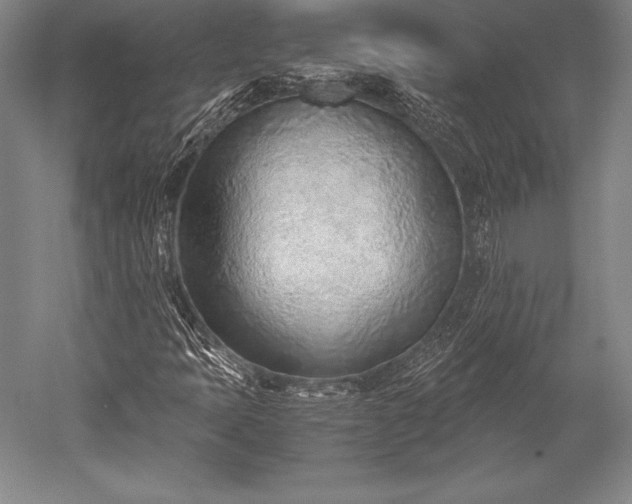 X0000052561397200507081623