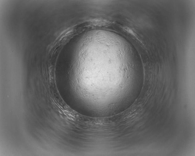 X0000052561399200507081623