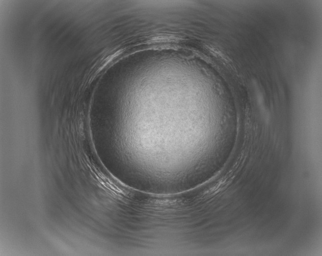 X0000052561401200507081623