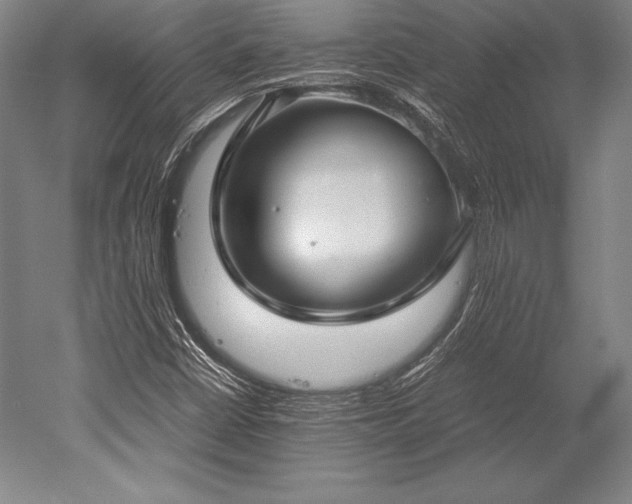 X0000052561402200507081623