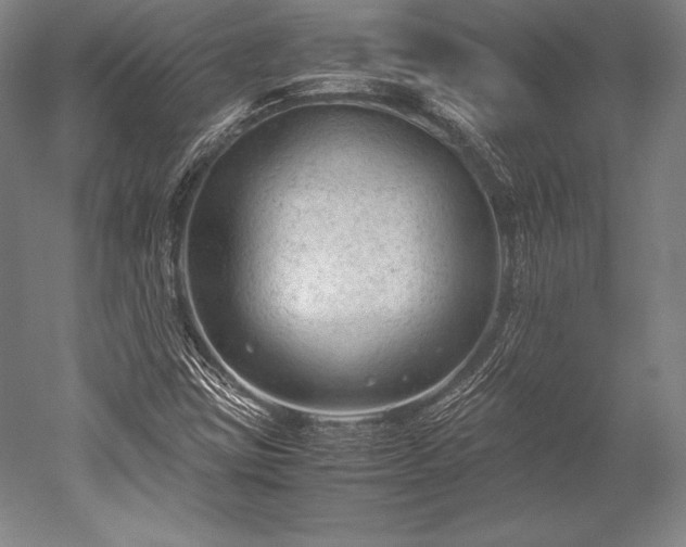 X0000052561403200507081623