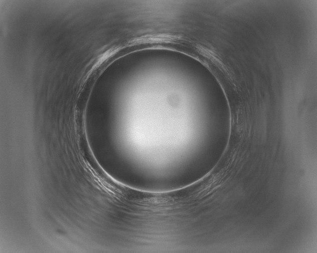 X0000052561404200507081623
