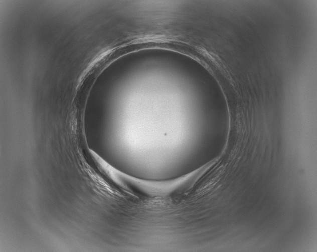 X0000052561406200507081623