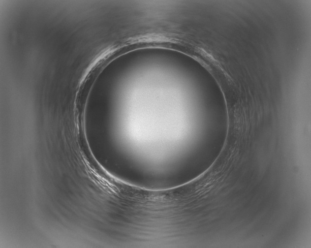 X0000052561408200507081623