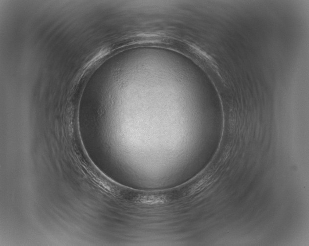 X0000052561411200507081623