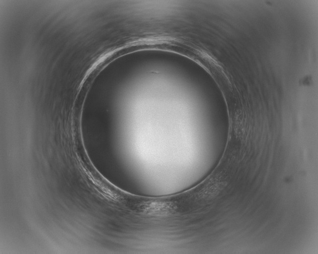 X0000052561412200507081624