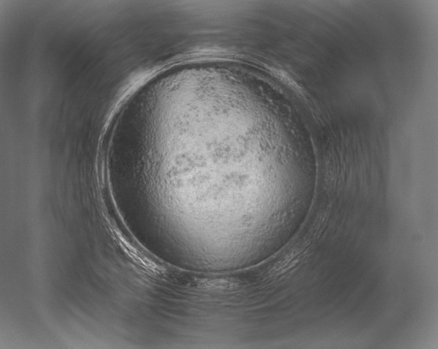 X0000052561413200507081624