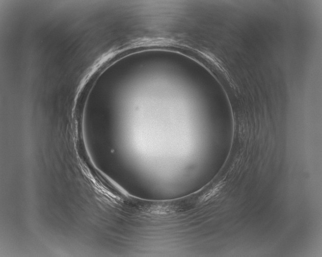 X0000052561414200507081624