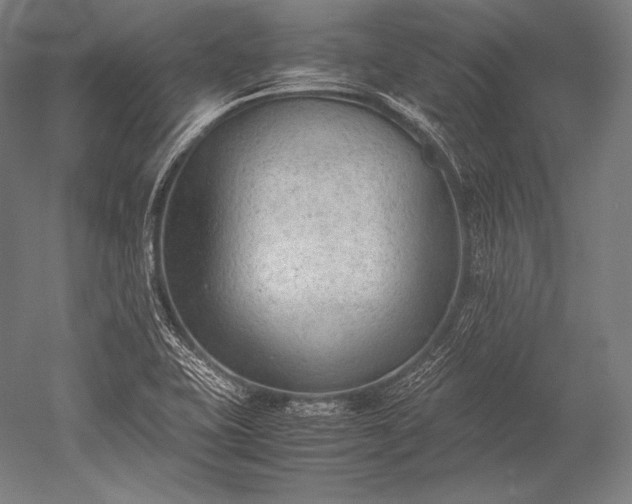 X0000052561415200507081624