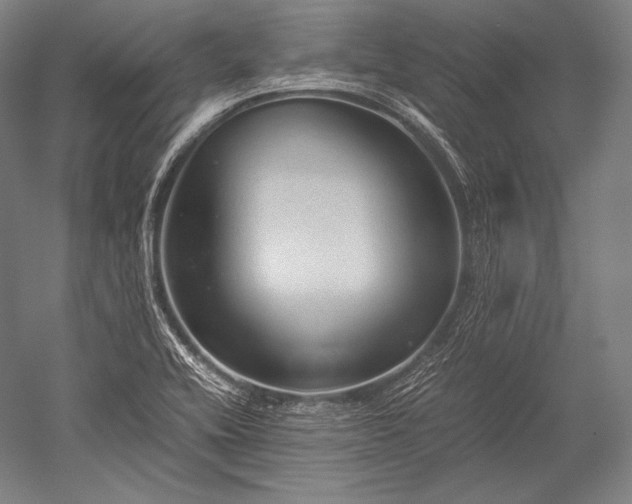 X0000052561416200507081624